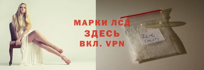 стафф Киренск