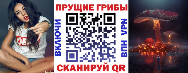 Псилоцибиновые грибы Magic Shrooms  где купить   Нестеров 